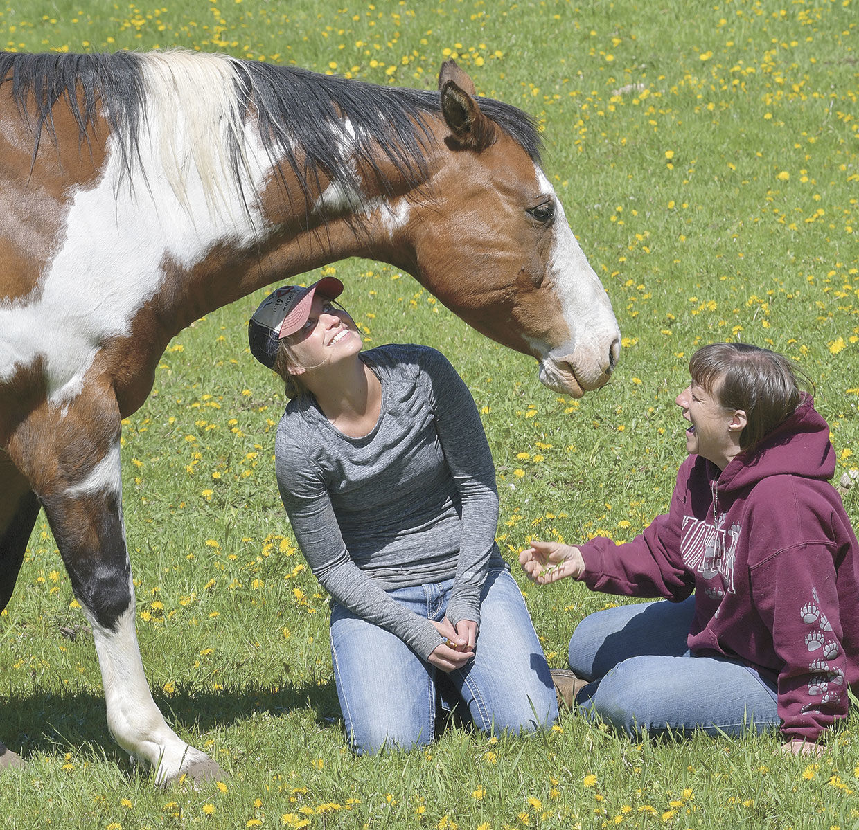 Equine-assisted therapy
